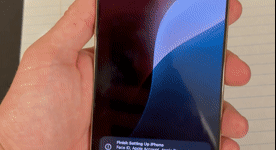 Video of Mint Apple iPhone 16 Pro Max