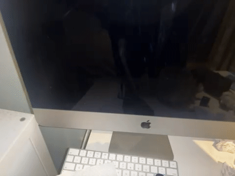 Video of Mint iMac 2019 21.5" Retina 4K