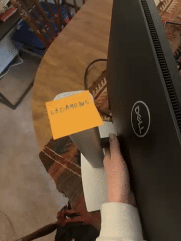 Video of Mint Dell Monitor