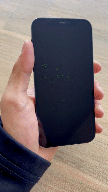 Video of Fair Apple iPhone 12