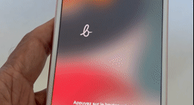 Video of Good Apple iPhone 6S Plus