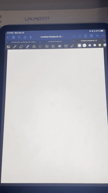 Video of Mint Apple iPad Air (4th Gen)