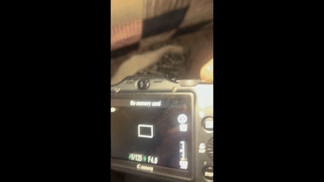 Video of Good Canon PowerShot SX160 IS
