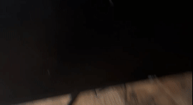 Video of Good LG Monitor