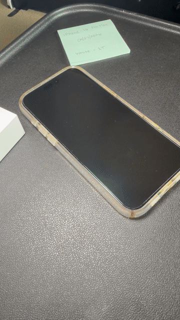 Video of Mint Apple iPhone 16 Pro Max