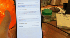 Video of Mint Apple iPhone 16 Pro Max